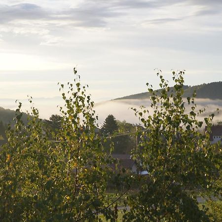 Gites Du Taennchel Thannenkirch Exterior foto